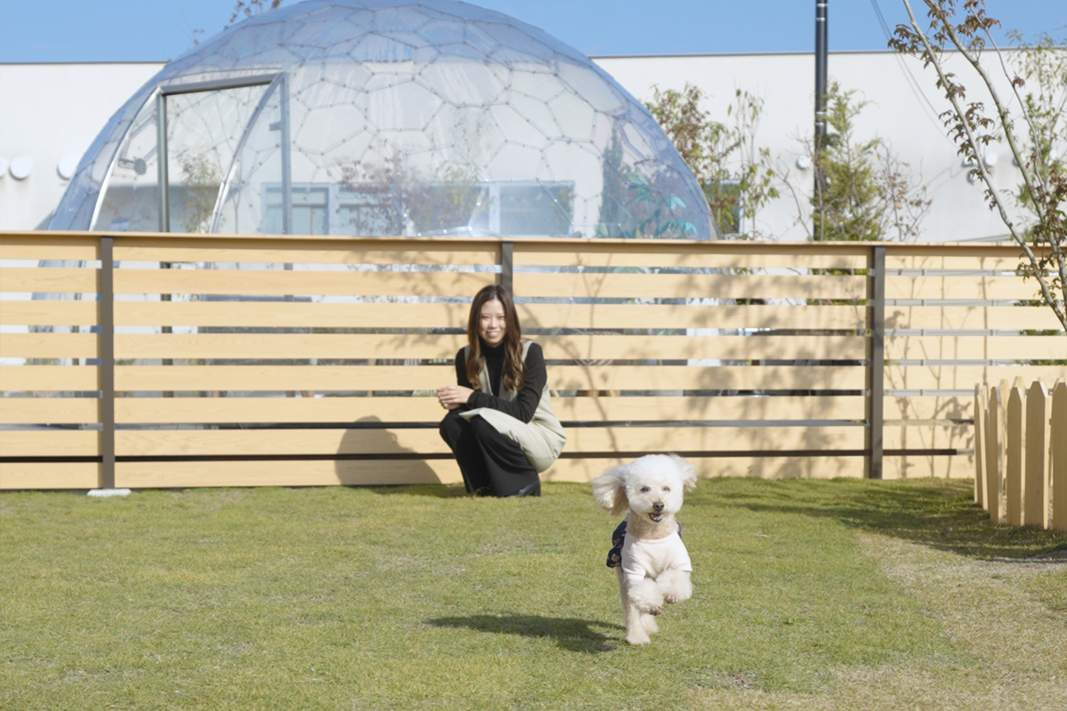 小型中型犬専用ドッグラン