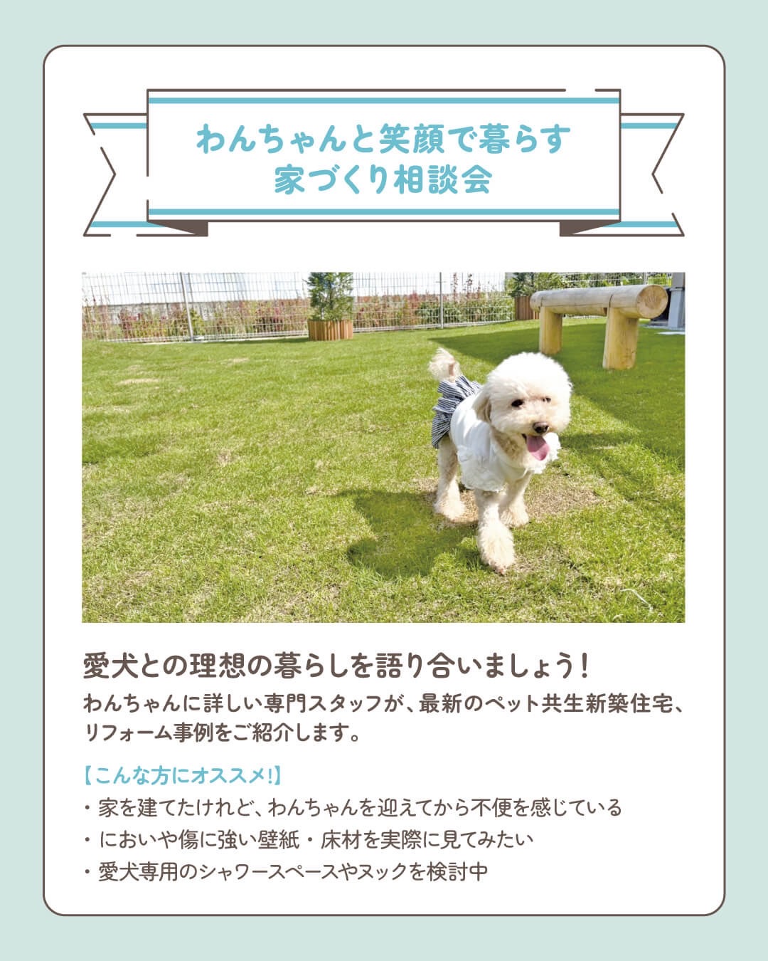 白い犬が洋服を着て芝生の公園を走る写真。背景にフェンスと木製の遊具があり、犬と暮らす家づくり相談会の案内が示されているチラシ。